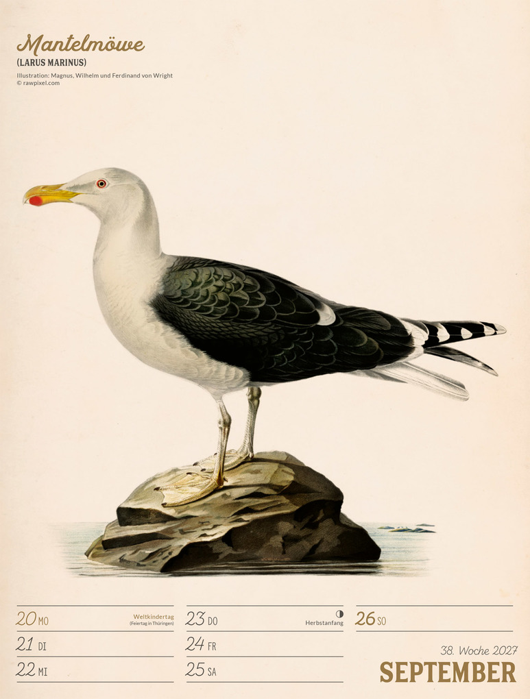 Weitere Ansicht: Wunderbare Vogelwelt Wochenplaner Kalender 2027 | Ackermann Kunstverlag GmbH