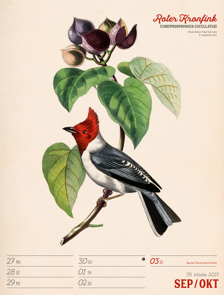 Weitere Ansicht: Wunderbare Vogelwelt Wochenplaner Kalender 2027 | Ackermann Kunstverlag GmbH
