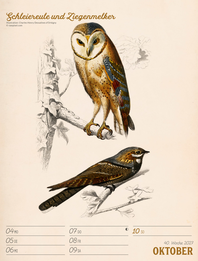 Weitere Ansicht: Wunderbare Vogelwelt Wochenplaner Kalender 2027 | Ackermann Kunstverlag GmbH