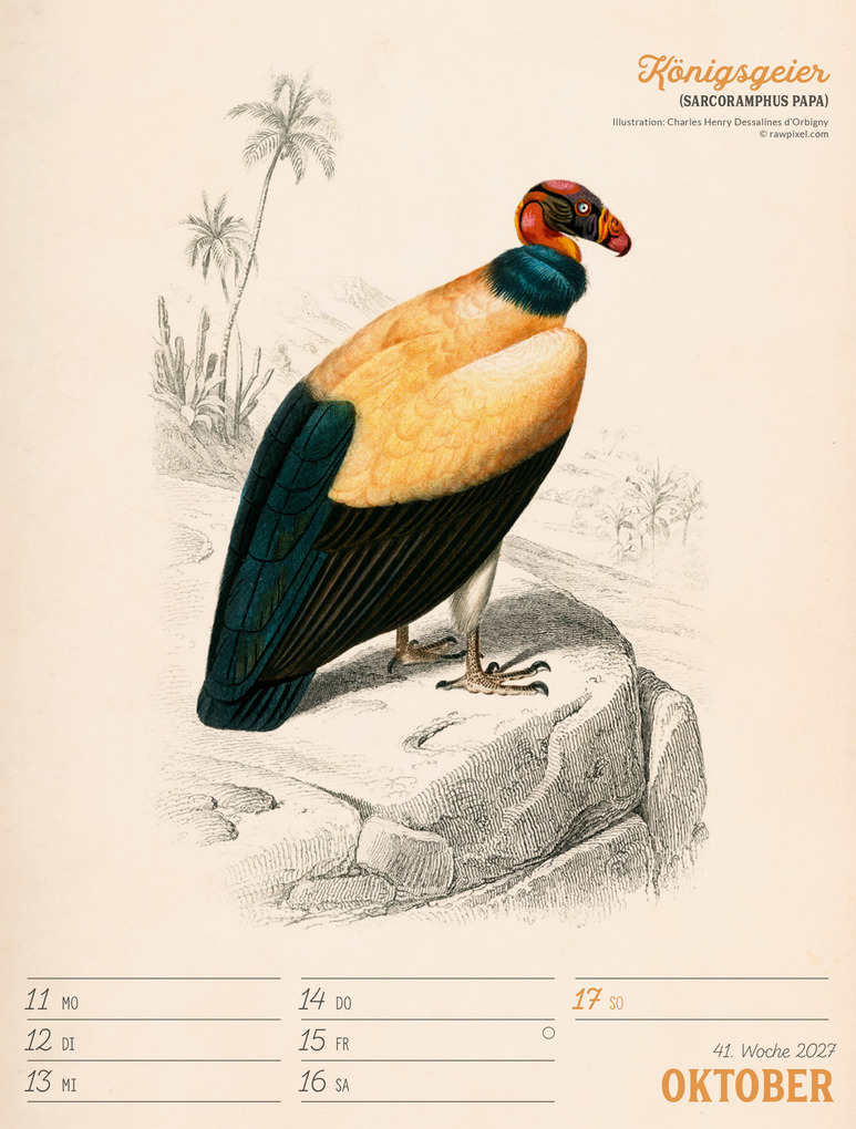 Weitere Ansicht: Wunderbare Vogelwelt Wochenplaner Kalender 2027 | Ackermann Kunstverlag GmbH