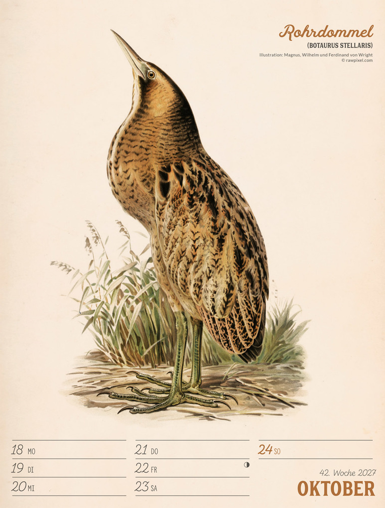 Weitere Ansicht: Wunderbare Vogelwelt Wochenplaner Kalender 2027 | Ackermann Kunstverlag GmbH