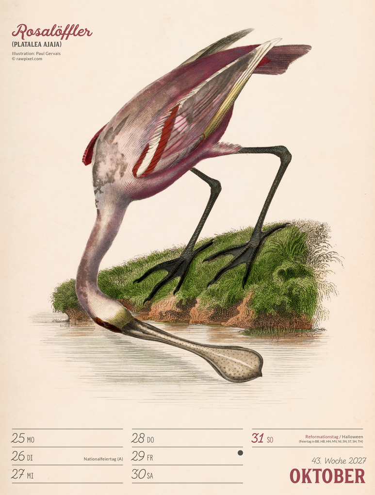 Weitere Ansicht: Wunderbare Vogelwelt Wochenplaner Kalender 2027 | Ackermann Kunstverlag GmbH
