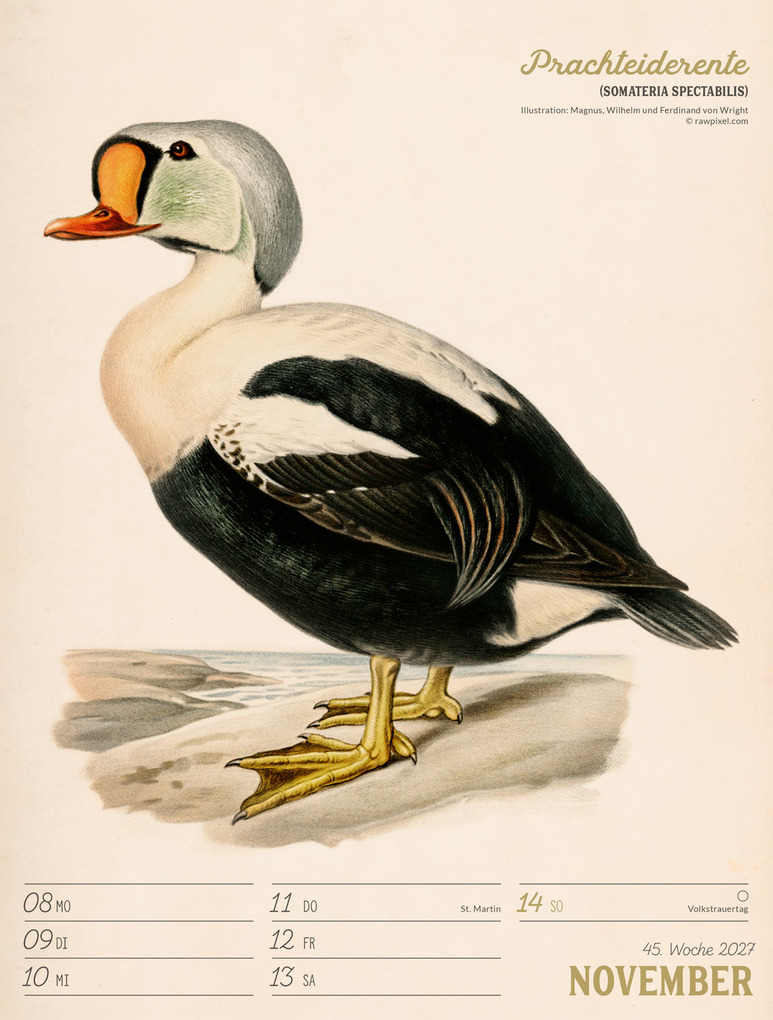 Weitere Ansicht: Wunderbare Vogelwelt Wochenplaner Kalender 2027 | Ackermann Kunstverlag GmbH