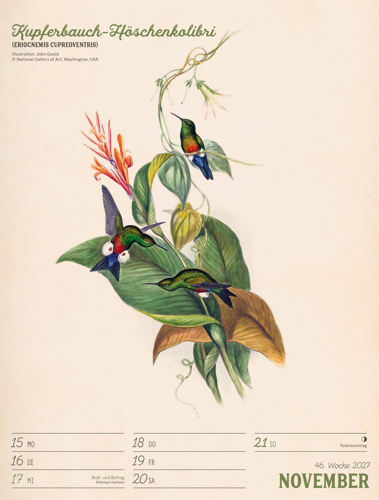 Weitere Ansicht: Wunderbare Vogelwelt Wochenplaner Kalender 2027 | Ackermann Kunstverlag GmbH