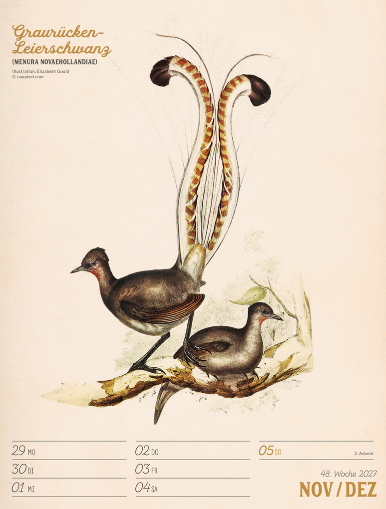 Weitere Ansicht: Wunderbare Vogelwelt Wochenplaner Kalender 2027 | Ackermann Kunstverlag GmbH