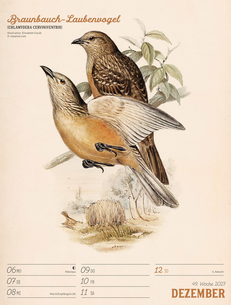 Weitere Ansicht: Wunderbare Vogelwelt Wochenplaner Kalender 2027 | Ackermann Kunstverlag GmbH