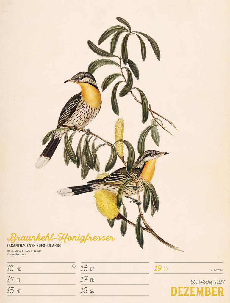 Weitere Ansicht: Wunderbare Vogelwelt Wochenplaner Kalender 2027 | Ackermann Kunstverlag GmbH