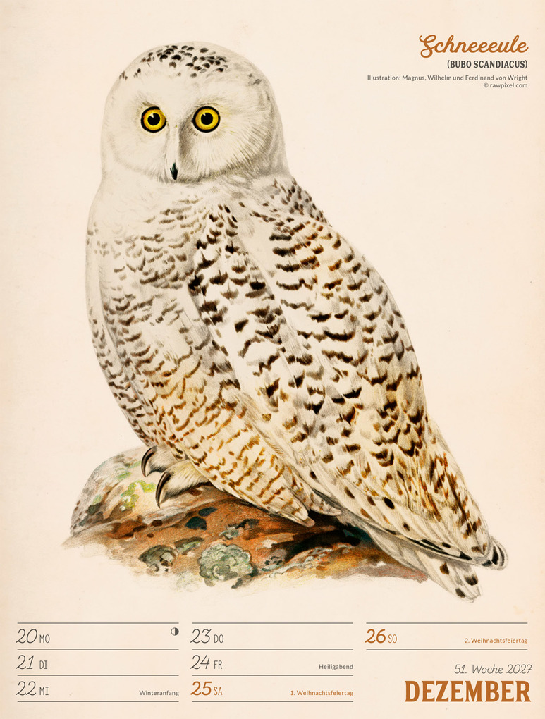 Weitere Ansicht: Wunderbare Vogelwelt Wochenplaner Kalender 2027 | Ackermann Kunstverlag GmbH