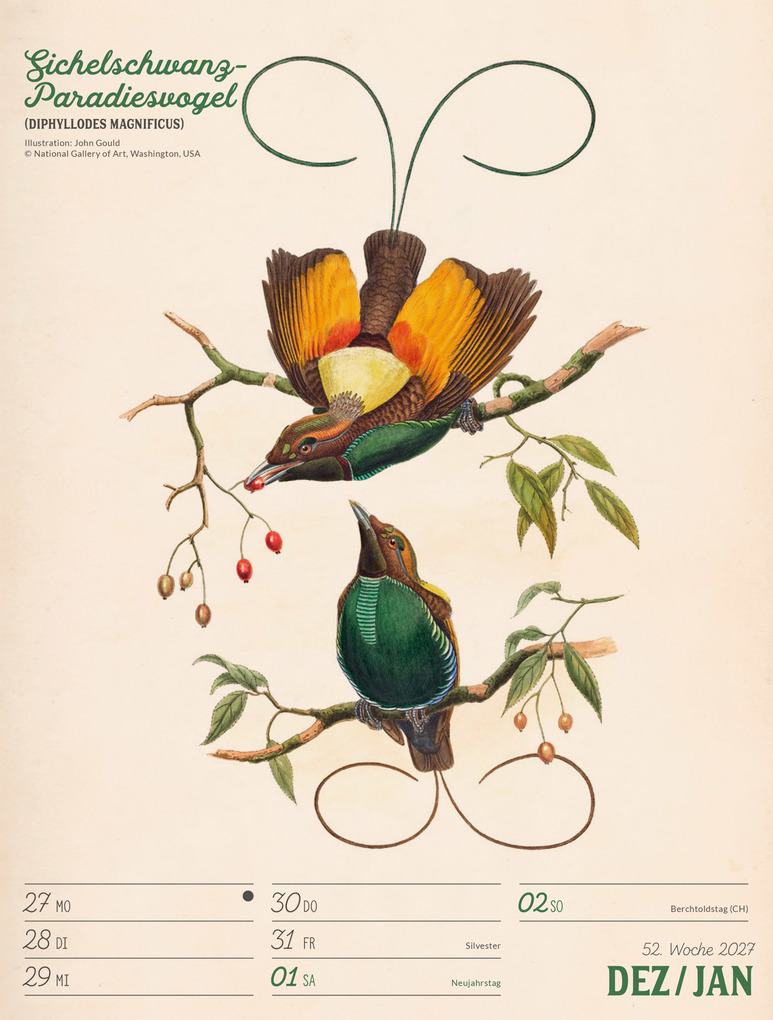 Weitere Ansicht: Wunderbare Vogelwelt Wochenplaner Kalender 2027 | Ackermann Kunstverlag GmbH