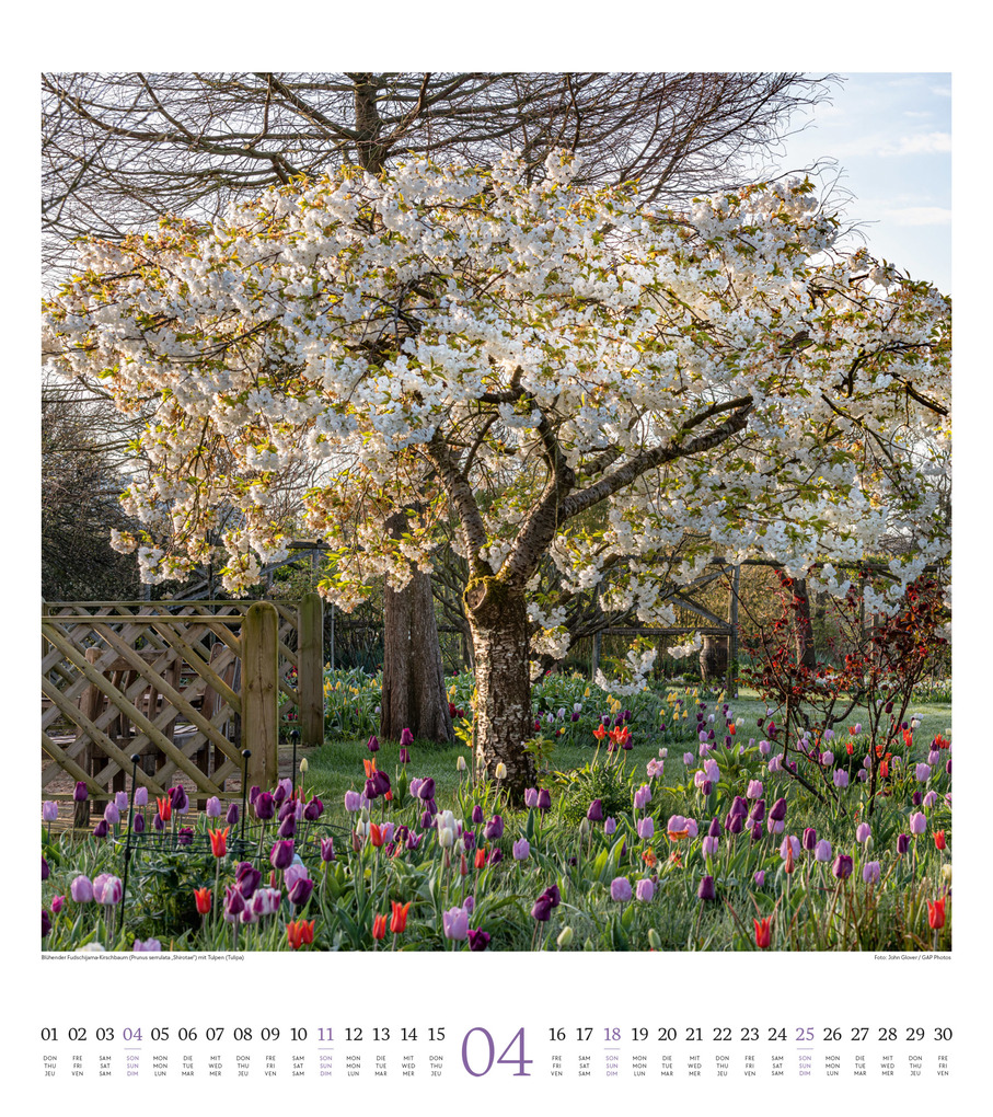 Weitere Ansicht: Paradiesische Gärten Kalender 2027 | Ackermann Kunstverlag GmbH