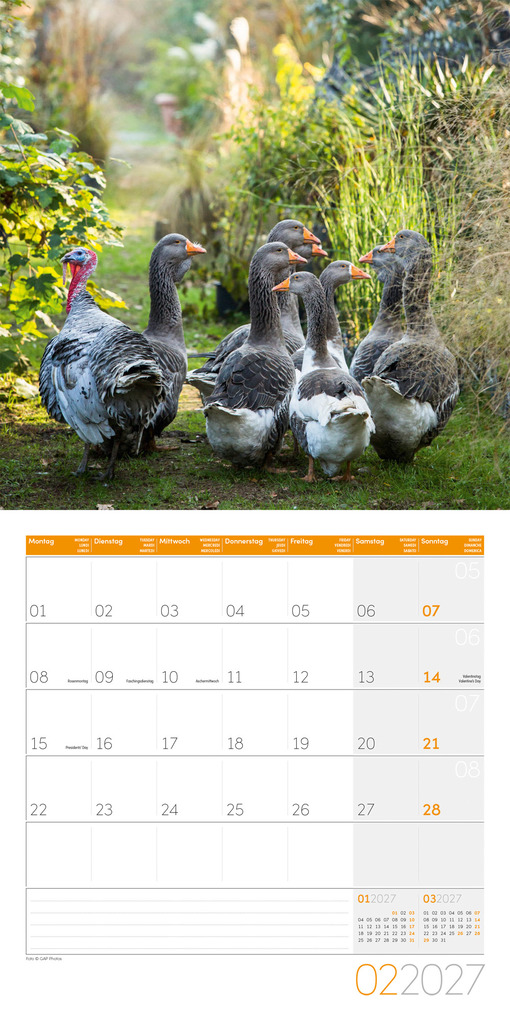 Weitere Ansicht: Landleben Kalender 2027 - 30x30 - Art12 | Ackermann Kunstverlag GmbH