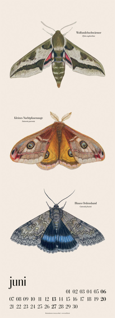 Weitere Ansicht: natürlich Kalender 2027 | Tereza Schott, Ackermann Kunstverlag GmbH