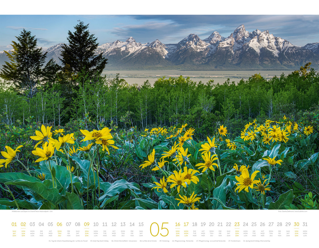 Weitere Ansicht: Geheime Paradiese Kalender 2027 | Ackermann Kunstverlag GmbH