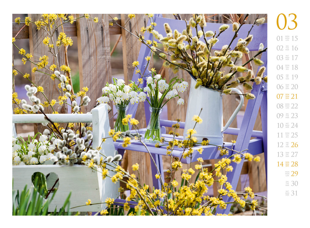Weitere Ansicht: Blumenzauber Kalender 2027 | Ackermann Kunstverlag GmbH