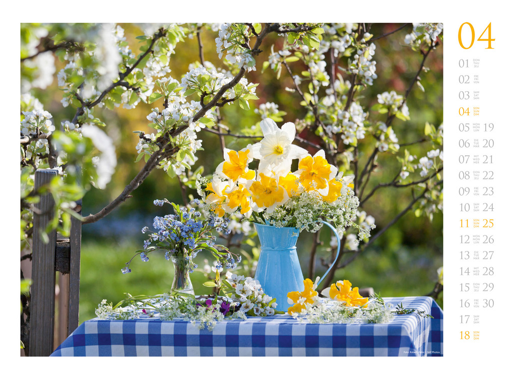 Weitere Ansicht: Blumenzauber Kalender 2027 | Ackermann Kunstverlag GmbH