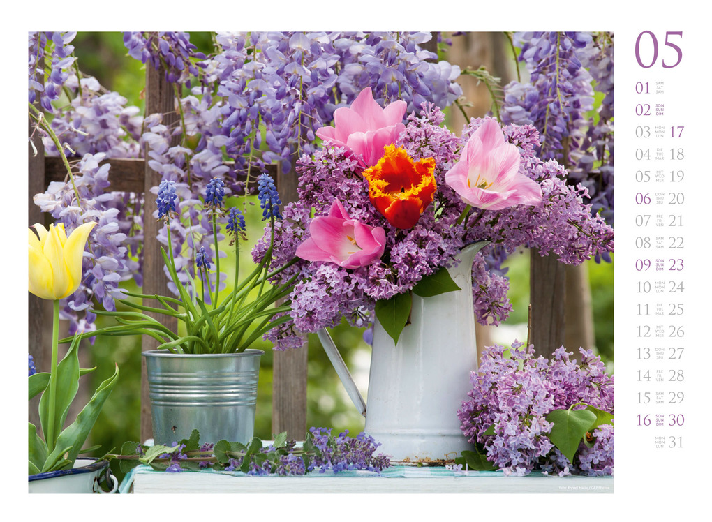 Weitere Ansicht: Blumenzauber Kalender 2027 | Ackermann Kunstverlag GmbH