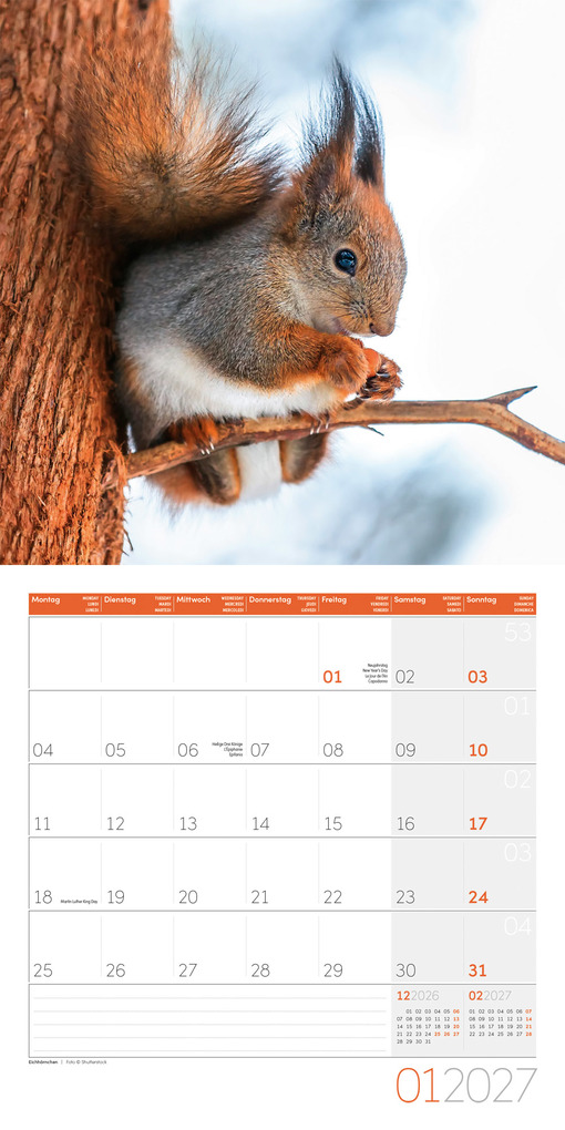 Weitere Ansicht: Gartenfreunde Kalender 2027 - 30x30 - Art12 | Ackermann Kunstverlag GmbH