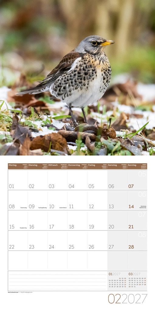 Weitere Ansicht: Gartenfreunde Kalender 2027 - 30x30 - Art12 | Ackermann Kunstverlag GmbH