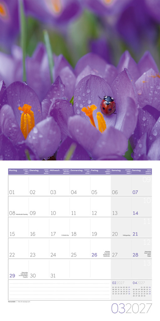 Weitere Ansicht: Gartenfreunde Kalender 2027 - 30x30 - Art12 | Ackermann Kunstverlag GmbH