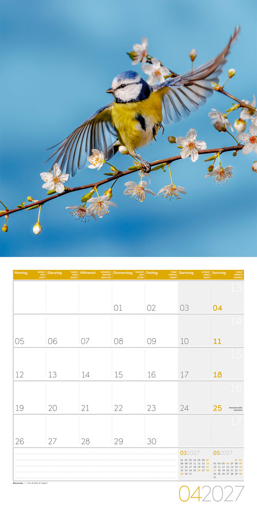 Weitere Ansicht: Gartenfreunde Kalender 2027 - 30x30 - Art12 | Ackermann Kunstverlag GmbH