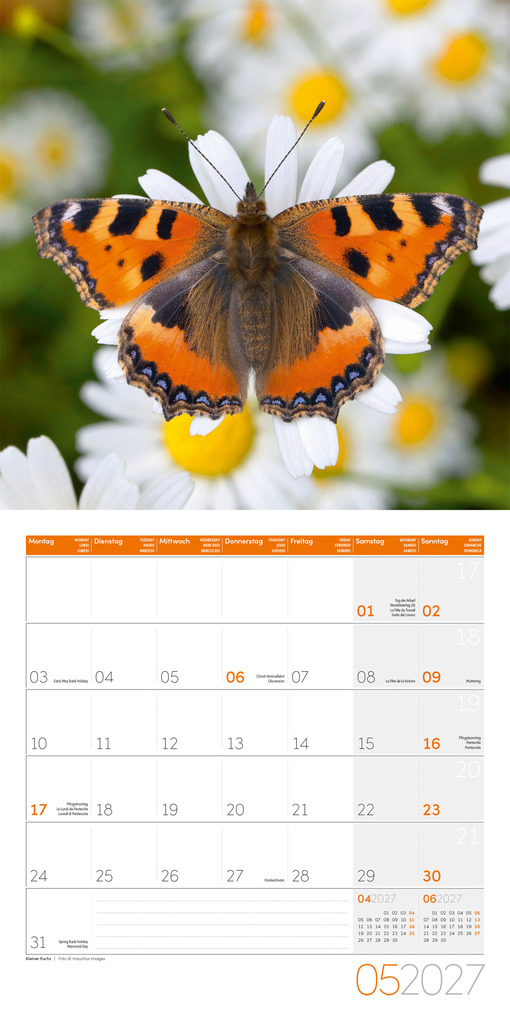 Weitere Ansicht: Gartenfreunde Kalender 2027 - 30x30 - Art12 | Ackermann Kunstverlag GmbH