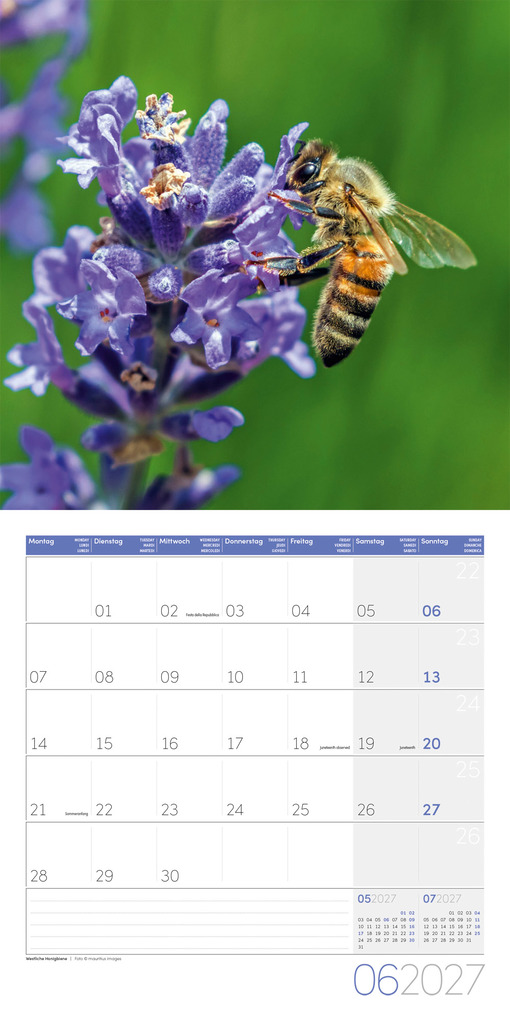 Weitere Ansicht: Gartenfreunde Kalender 2027 - 30x30 - Art12 | Ackermann Kunstverlag GmbH