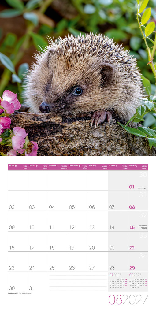 Weitere Ansicht: Gartenfreunde Kalender 2027 - 30x30 - Art12 | Ackermann Kunstverlag GmbH