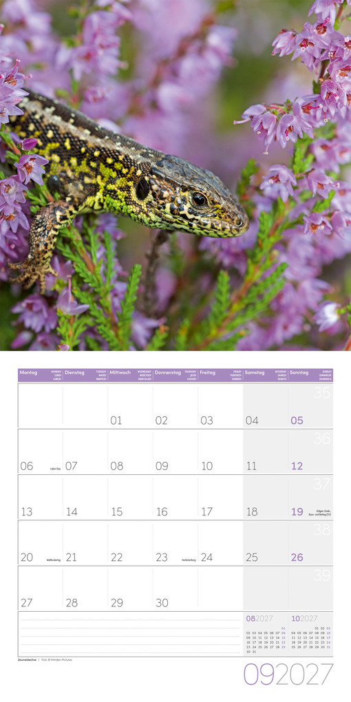 Weitere Ansicht: Gartenfreunde Kalender 2027 - 30x30 - Art12 | Ackermann Kunstverlag GmbH