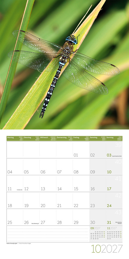 Weitere Ansicht: Gartenfreunde Kalender 2027 - 30x30 - Art12 | Ackermann Kunstverlag GmbH