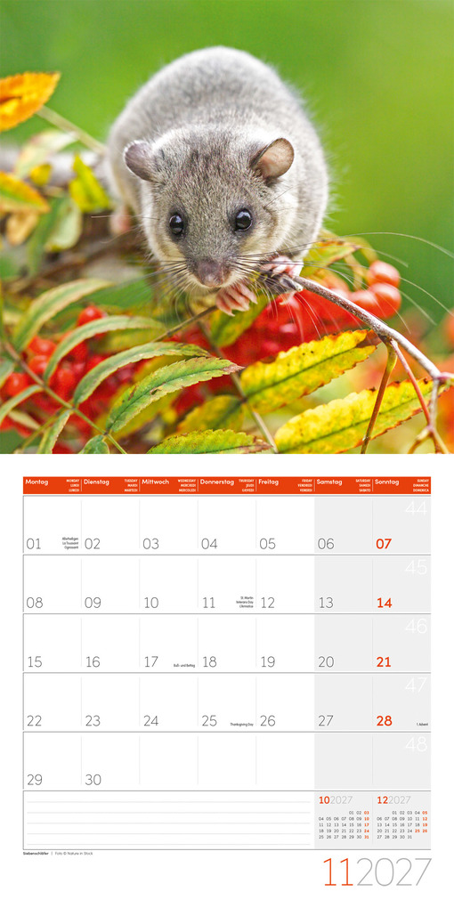 Weitere Ansicht: Gartenfreunde Kalender 2027 - 30x30 - Art12 | Ackermann Kunstverlag GmbH