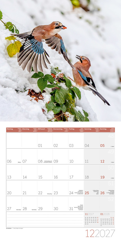 Weitere Ansicht: Gartenfreunde Kalender 2027 - 30x30 - Art12 | Ackermann Kunstverlag GmbH