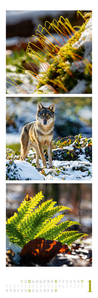 Weitere Ansicht: Nature Triplet-Kalender 2027 | Ackermann Kunstverlag GmbH