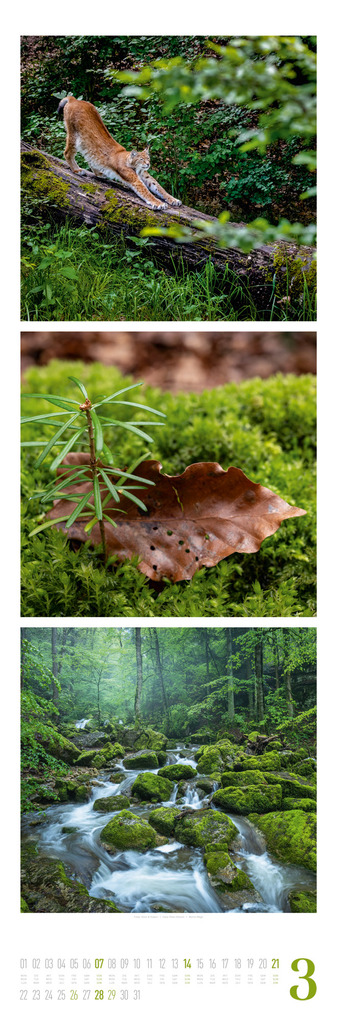 Weitere Ansicht: Nature Triplet-Kalender 2027 | Ackermann Kunstverlag GmbH