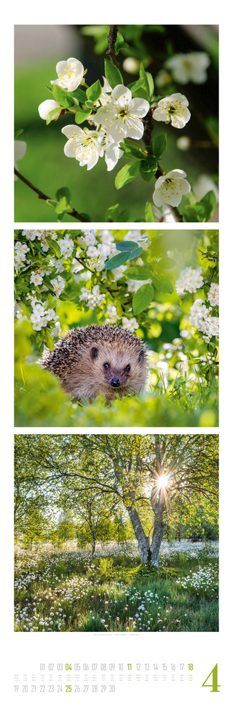 Weitere Ansicht: Nature Triplet-Kalender 2027 | Ackermann Kunstverlag GmbH