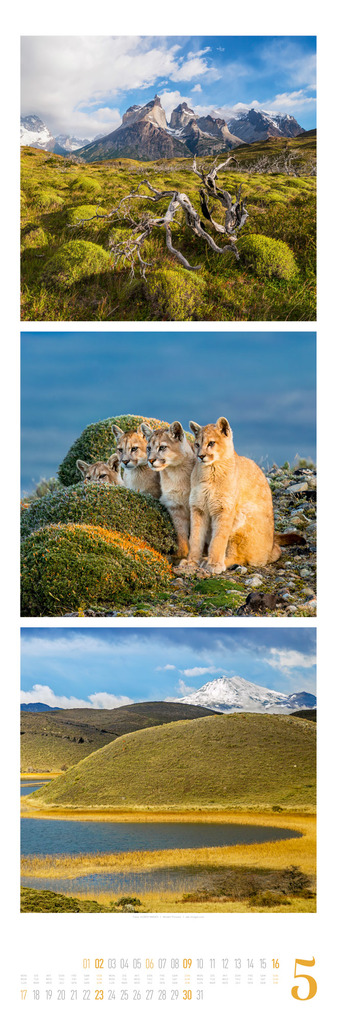 Weitere Ansicht: Nature Triplet-Kalender 2027 | Ackermann Kunstverlag GmbH