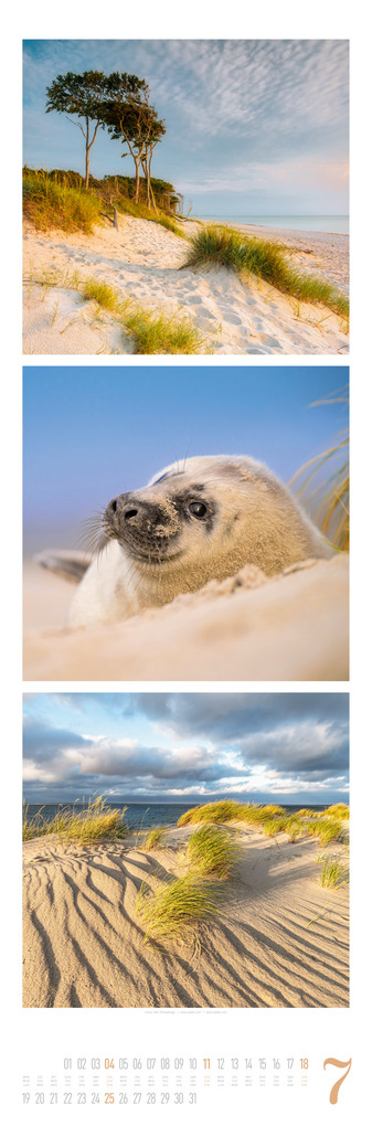 Weitere Ansicht: Nature Triplet-Kalender 2027 | Ackermann Kunstverlag GmbH