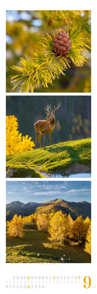 Weitere Ansicht: Nature Triplet-Kalender 2027 | Ackermann Kunstverlag GmbH