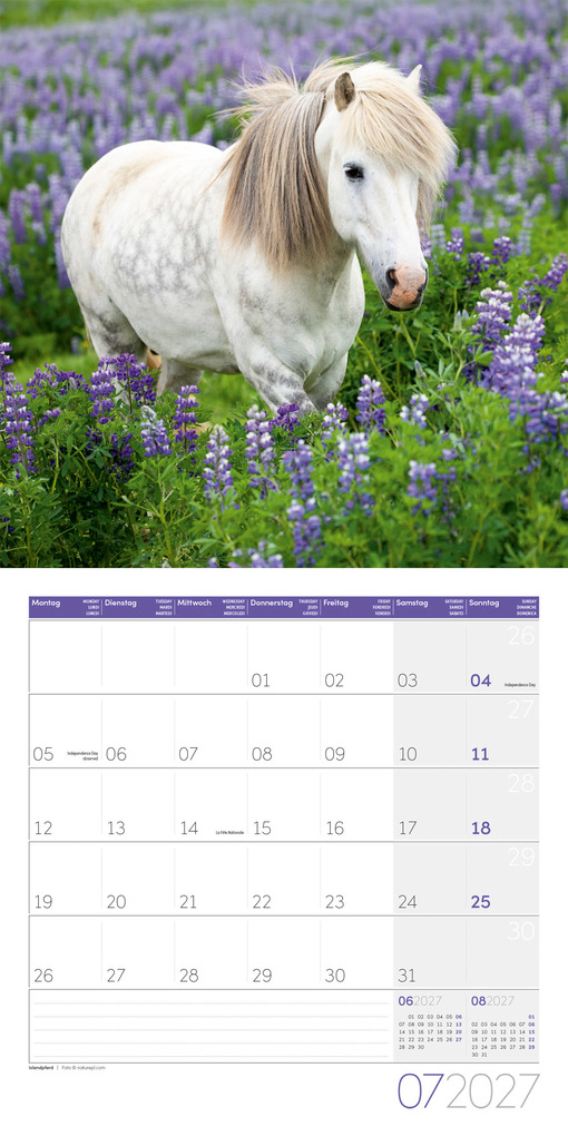 Weitere Ansicht: Pferde Kalender 2027 - 30x30 - Art12 | Ackermann Kunstverlag GmbH