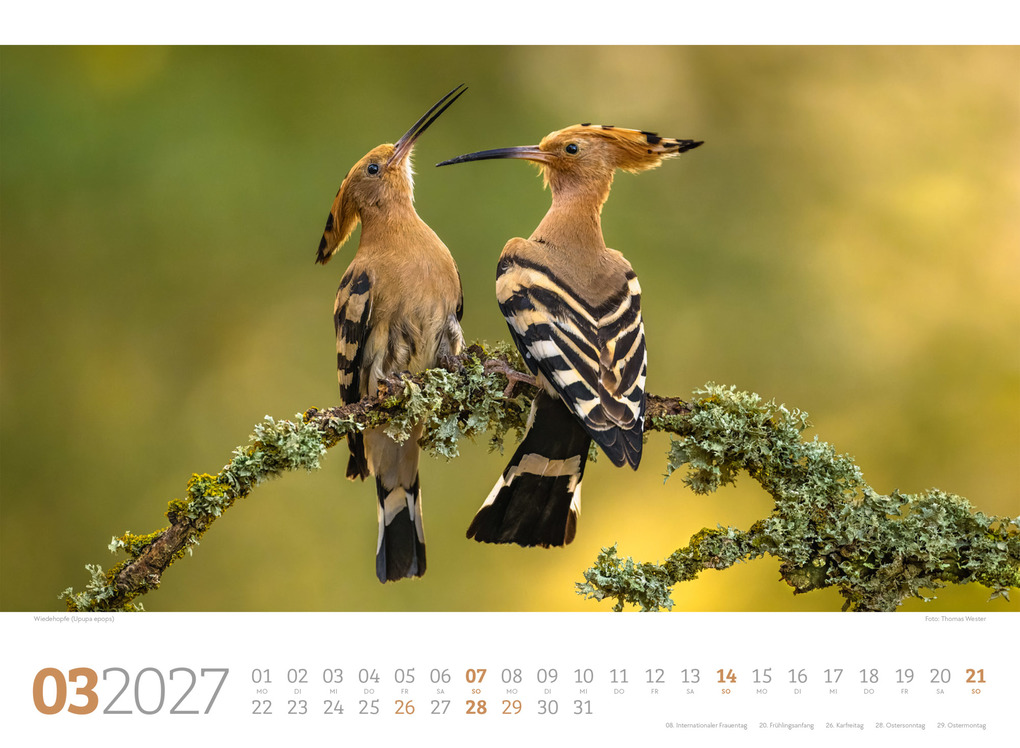 Weitere Ansicht: Tierwelt Wald Kalender 2027 | Ackermann Kunstverlag GmbH