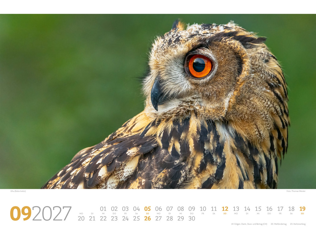 Weitere Ansicht: Tierwelt Wald Kalender 2027 | Ackermann Kunstverlag GmbH