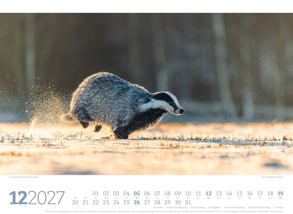 Weitere Ansicht: Tierwelt Wald Kalender 2027 | Ackermann Kunstverlag GmbH