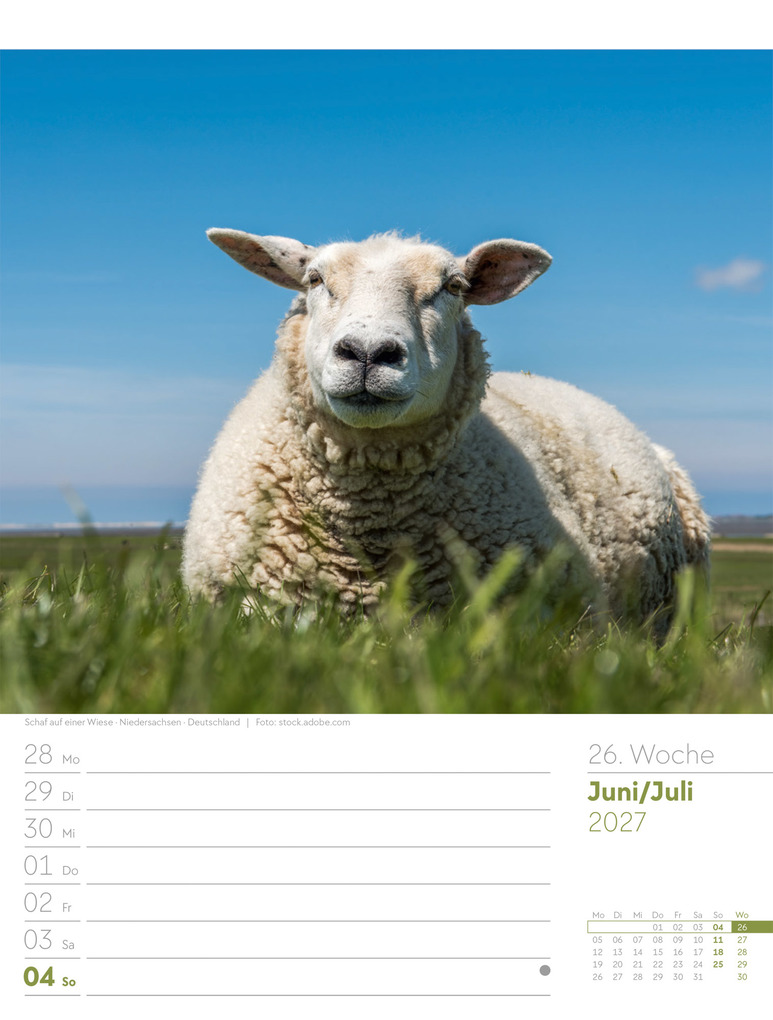 Weitere Ansicht: Am Meer Wochenplaner Kalender 2027 | Ackermann Kunstverlag GmbH