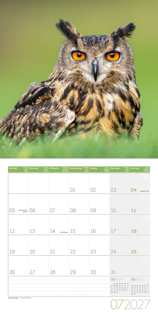 Weitere Ansicht: Eulen Kalender 2027 - 30x30 - Art12 | Ackermann Kunstverlag GmbH