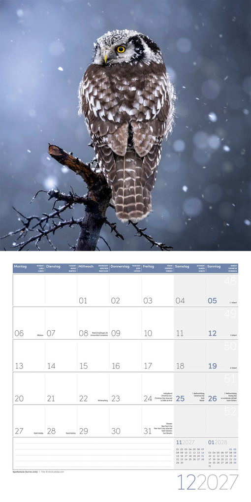 Weitere Ansicht: Eulen Kalender 2027 - 30x30 - Art12 | Ackermann Kunstverlag GmbH