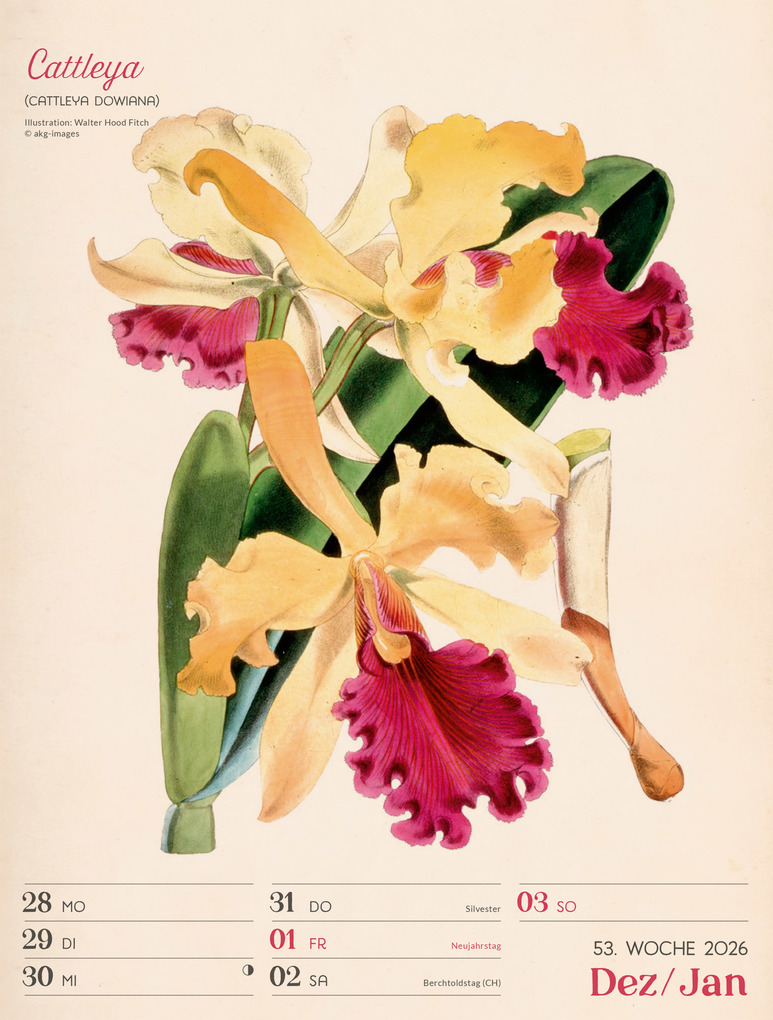 Weitere Ansicht: Ars Floralis Wochenplaner Kalender 2027 | Ackermann Kunstverlag GmbH