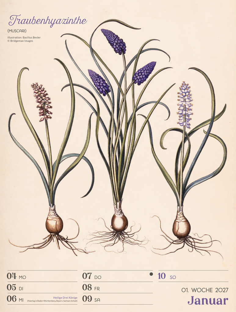 Weitere Ansicht: Ars Floralis Wochenplaner Kalender 2027 | Ackermann Kunstverlag GmbH