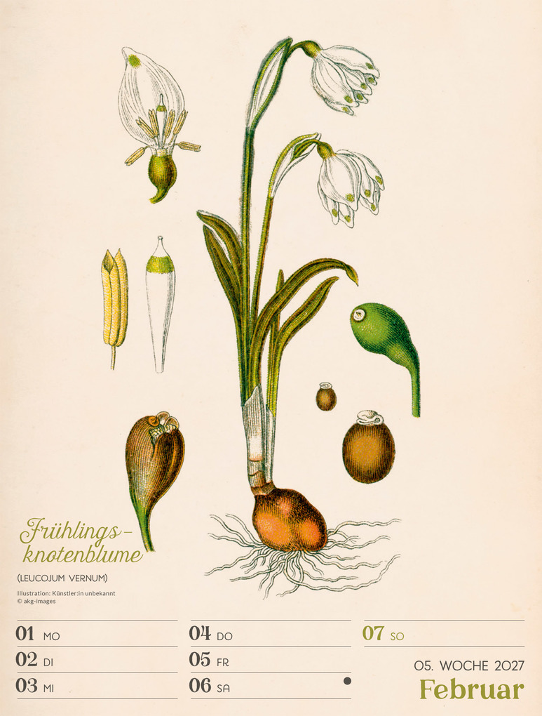 Weitere Ansicht: Ars Floralis Wochenplaner Kalender 2027 | Ackermann Kunstverlag GmbH