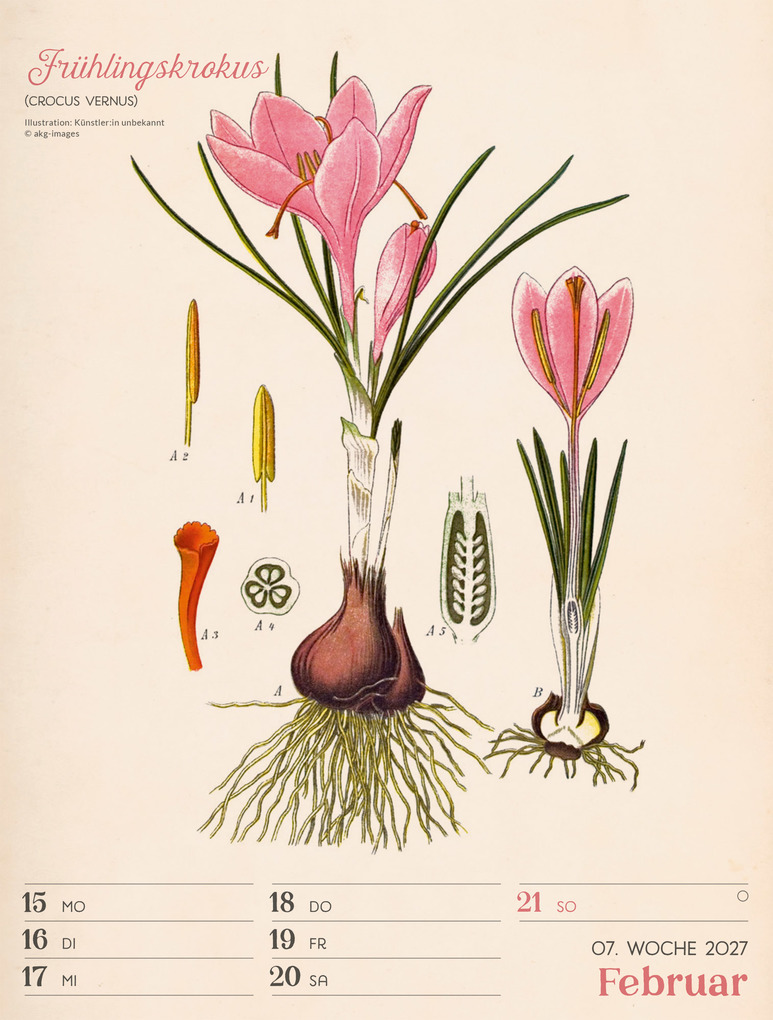 Weitere Ansicht: Ars Floralis Wochenplaner Kalender 2027 | Ackermann Kunstverlag GmbH