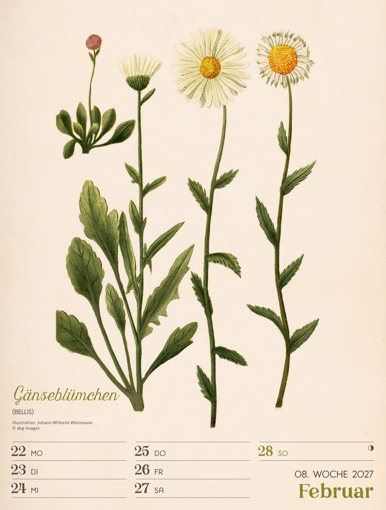 Weitere Ansicht: Ars Floralis Wochenplaner Kalender 2027 | Ackermann Kunstverlag GmbH