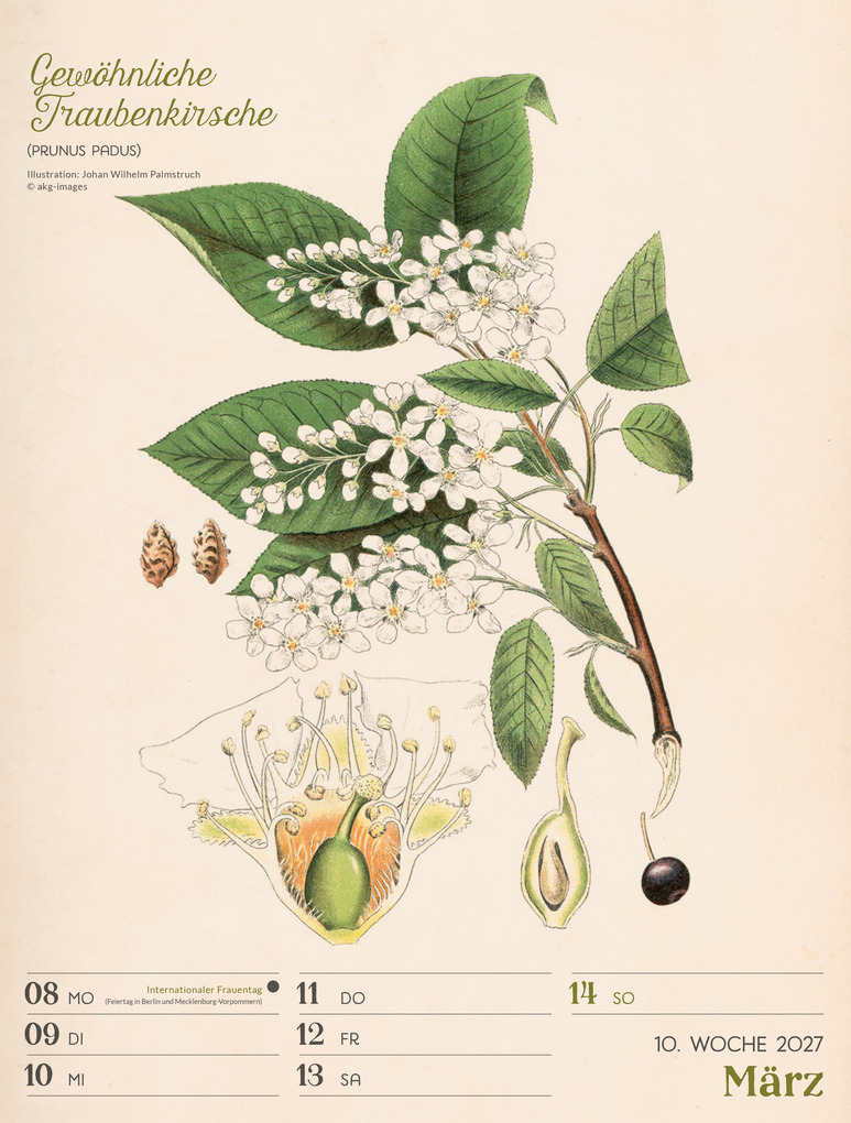 Weitere Ansicht: Ars Floralis Wochenplaner Kalender 2027 | Ackermann Kunstverlag GmbH